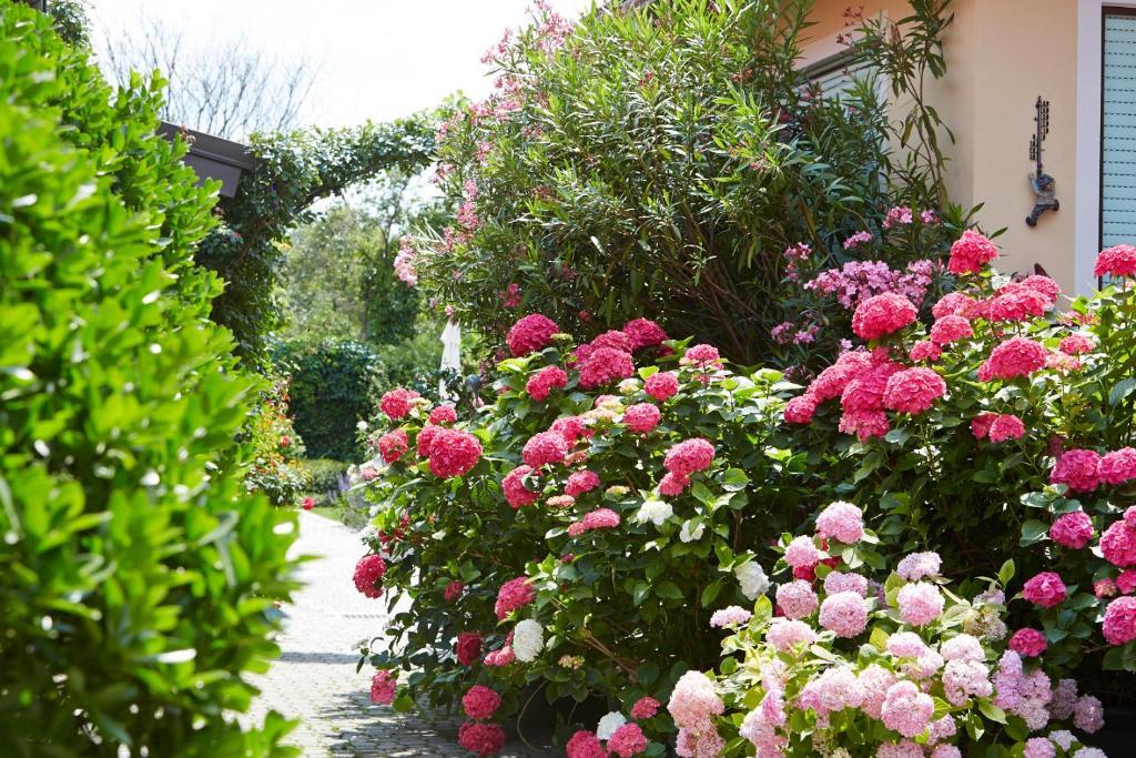 Weingut Sommerhof Privatunterkunft