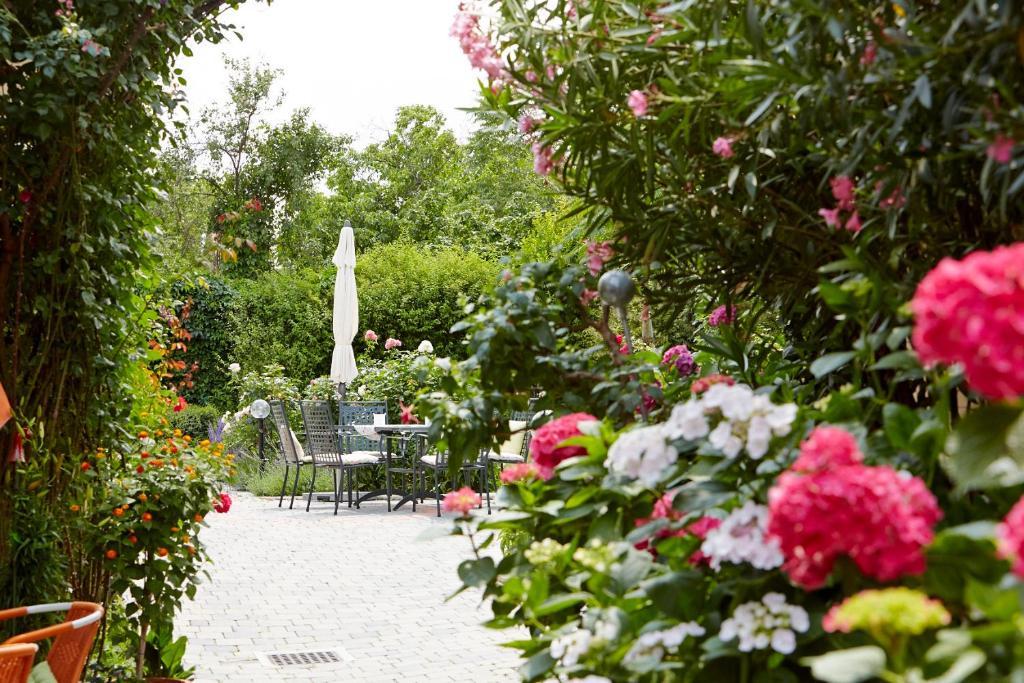 Privatunterkunft Weingut Sommerhof